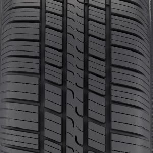 Riken Raptor VR tire image